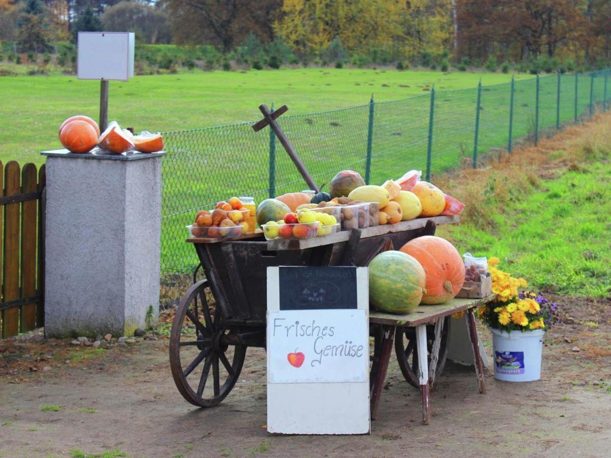 Ferienhaus Christine Schenkendobern Bagian luar foto